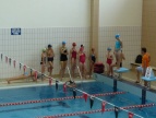 Organizacja zajęć z gimnastyki sportowej, obozu kondycyjnego dla dzieci i młodzieży obszaru LGD Turystyczna Podkowa i pokazu gimnastycznego oraz zakup urządzeń gimnastycznych 
