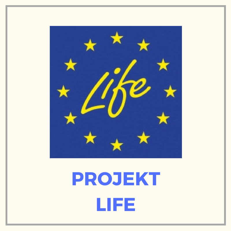 projekt life