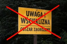 grafika przykładowa