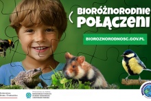 Na zdjęciu mały chłopiec i zwierzęta.