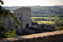 na pierwszym planie niewysoki mur oraz roślinność, w drugim planie część zamku - murowana wieża i drewniany most prowadzący do dużych brązowych drzwi