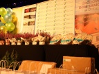 na scenie stół z nagrodami, z tyłu stołu rollupy gminy Dobczyce i ŚDS, obok stołu pęk kolorowych balonów
