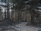 Przyszły park miejski
