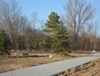 Przyszły park miejski