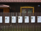Święto Ulicy Profesorskiej