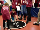 Walki robotów i festiwal mechatroniki w Regionalnym Centrum Oświatowo - Sportowym 