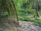 Park miejski