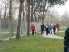 pracownicy urzędu sadzą drzewa