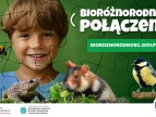 Na zdjęciu mały chłopiec i zwierzęta.