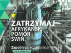 Plakat dwóch mężczyzn w odzieży ochronnej, napis: ZATRZYMAJ AFRYKAŃSKI POMÓR ŚWIŃ