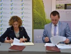 Wzgórze Staromiejskie zyska na atrakcyjności