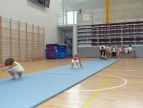 Organizacja zajęć z gimnastyki sportowej, obozu kondycyjnego dla dzieci i młodzieży obszaru LGD Turystyczna Podkowa i pokazu gimnastycznego oraz zakup urządzeń gimnastycznych 