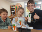 Trójka uczniów zasadzili nasiona marchwi.