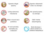 grafika informacyjna