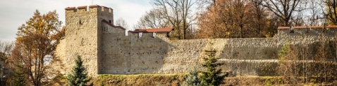 Zachowanie reliktów średniowiecznych murów miejskich w Dobczycach oraz ich konserwacja 